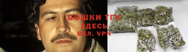 прущие грибы Алексеевка
