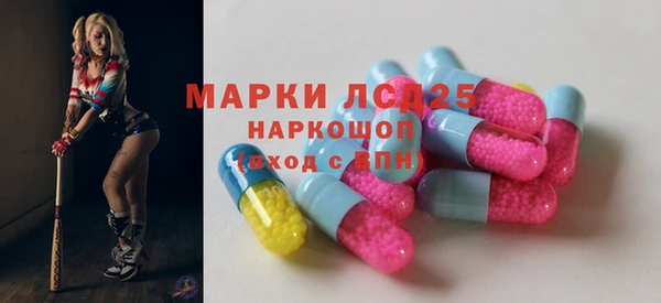хмурый Алзамай