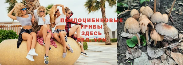 меф Алексин