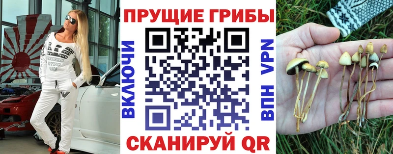 Псилоцибиновые грибы прущие грибы  гидра рабочий сайт  Межгорье 